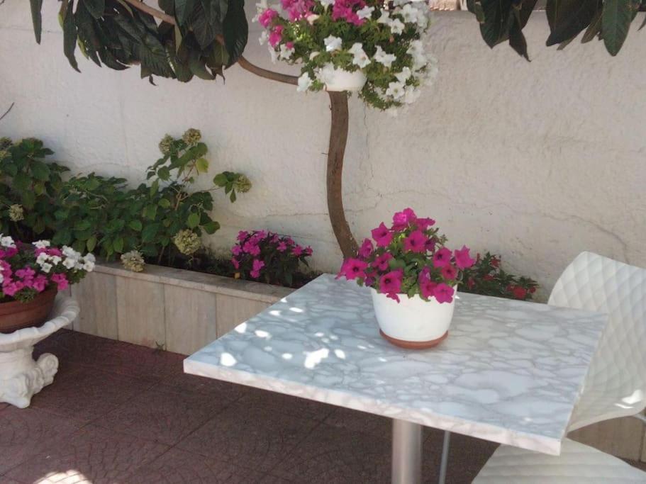 Ferienwohnung Casa Di Cristina Fiumicino Exterior foto