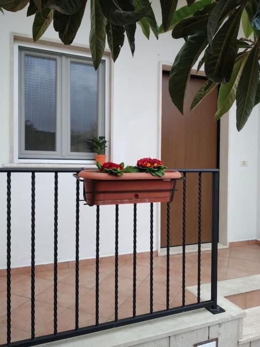 Ferienwohnung Casa Di Cristina Fiumicino Exterior foto